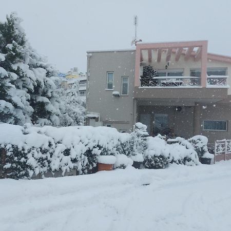 Violet Studio Με Πισίνα Volos Exterior photo